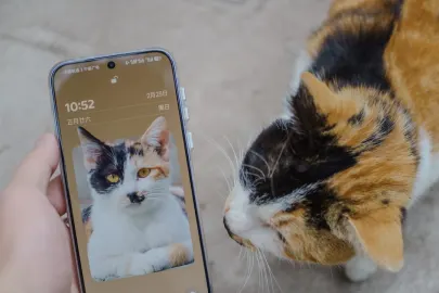 Vesper Casino Aip Soghluaiste